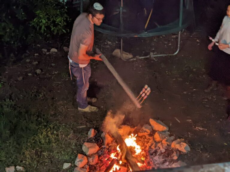 בפיקניק משפחתי